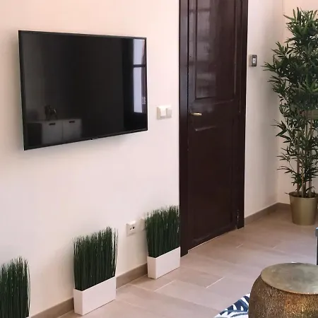 Apartment Alma House